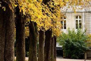 Domów Złotej Jesieni we Francji